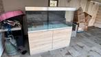 Oase HighLine 400 optic white 140x50x63 cm, Dieren en Toebehoren, Ophalen, Zo goed als nieuw, Leeg aquarium
