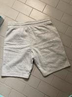 Fsbn xl korte broek grijs, Verzenden, Nieuw, Maat 56/58 (XL), Grijs