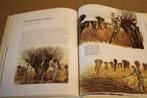 Een ambacht met riet. Oude ambachten in kleurrijk beeld., Ophalen of Verzenden, Gelezen