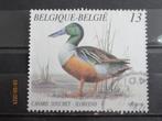 POSTZEGEL  BELGIE 1989 - VOGEL   =204=, Ophalen of Verzenden, Gestempeld