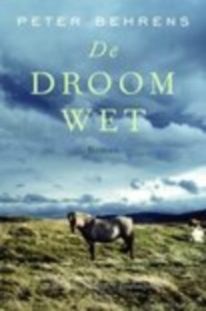 Peter Behrens - De droomwet, Boeken, Romans, Zo goed als nieuw, Ophalen of Verzenden