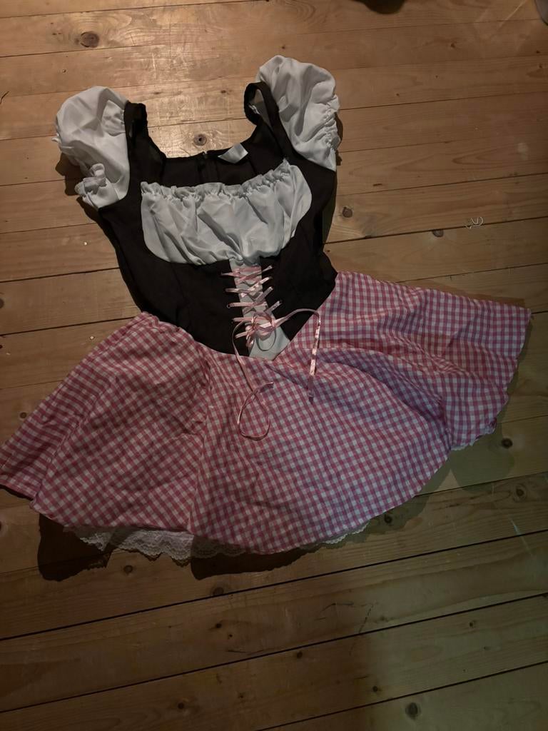 Oktoberfest jurkje maat m, Ophalen of Verzenden, Zo goed als nieuw, Maat 38/40 (M), Carnaval