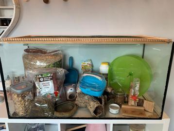 Hamster/ gerbils/ knaagdier kooi te koop beschikbaar voor biedingen