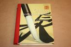Chinees penseelschilderen - Handboek !!, Boeken, Ophalen of Verzenden, Zo goed als nieuw