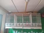Vogelkooi, Dieren en Toebehoren, Ophalen of Verzenden, Zo goed als nieuw, Metaal, Vogelkooi