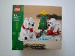 LEGO 40571 IJsberen in de winter, Kinderen en Baby's, Speelgoed | Duplo en Lego, Ophalen of Verzenden, Nieuw, Complete set, Lego