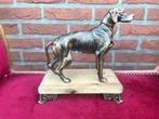beeld van een jachthond, gietijzer, Antiek en Kunst, Ophalen of Verzenden