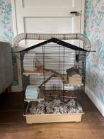 Grote hamsterkooi, Dieren en Toebehoren, Knaagdieren en Konijnen | Hokken en Kooien, Ophalen, Kooi, Gebruikt, 60 tot 90 cm