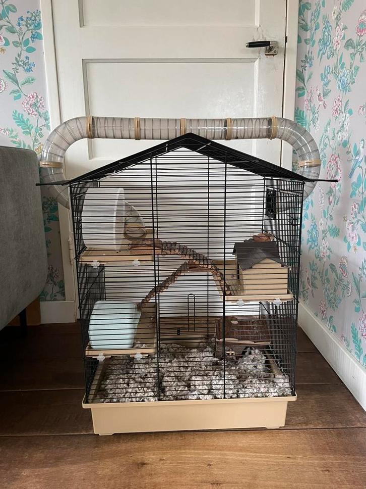 Grote hamsterkooi, Dieren en Toebehoren, Knaagdieren en Konijnen | Hokken en Kooien, Gebruikt, Kooi, 60 tot 90 cm, Minder dan 75 cm