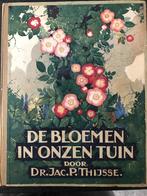 Verkades Prentenboek - de bloemen in onze tuin uit 1935, Boeken, Ophalen of Verzenden, Gelezen