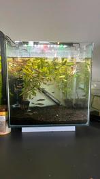 Aqarium zonder licht teruil voor een kleiner aqarium, Dieren en Toebehoren, Vissen | Aquaria en Toebehoren, Ophalen, Zo goed als nieuw