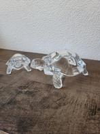 Glazen Schildpadden Set, Ophalen of Verzenden