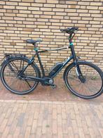 PEGASUS Tecaro C7 [62cm] Belt in Nette Staat., 59 cm of meer, Ophalen, Zo goed als nieuw, Overige merken