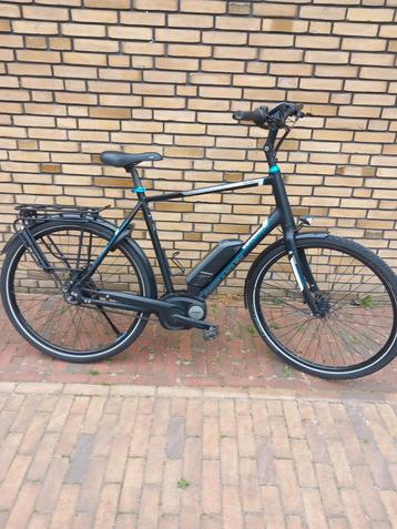 PEGASUS Tecaro C7 [62cm] Belt in Nette Staat. beschikbaar voor biedingen