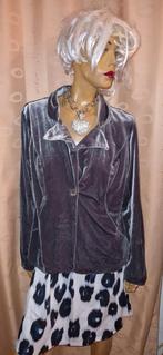 Prachtige fluweel jasje van didi maat 4/L grijs, Kleding | Dames, Maat 38/40 (M), Didi, Ophalen of Verzenden, Zo goed als nieuw