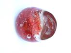 Paperweight/glazen bol 3, Verzenden
