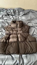 Zwarte bodywarmer, Kleding | Dames, H&M, Zwart, Ophalen of Verzenden, Zo goed als nieuw