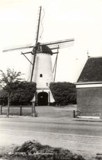 Halsteren, St. Antoniusmolen - ongelopen, Ophalen of Verzenden, Voor 1920, Ongelopen, Noord-Brabant