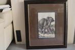 Schilderij Olifant met kalf van August Specht 1849 - 1923, Ophalen, Oorspronkelijke maker, Zo goed als nieuw, Schilderij