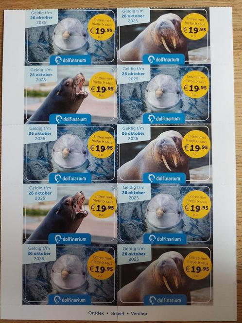 Kaartjes Dolfinarium Harderwijk + friet, totaal 132 korting, Tickets en Kaartjes, Kortingen en Cadeaubonnen, Drie personen of meer