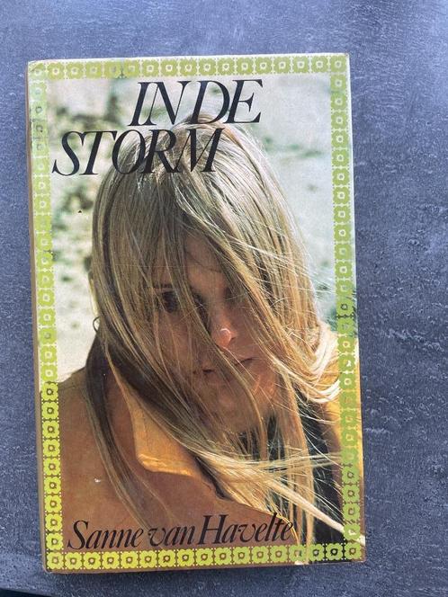 In de storm van Sanne van Havelte, Boeken, Romans, Gelezen, Nederland, Ophalen