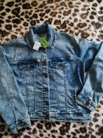 Spijkerjasje Scapino nieuw xxl, Kleding | Dames, Ophalen of Verzenden, Nieuw