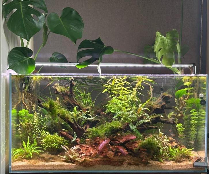 Oase Scaperline 90 complete set met CO2, licht, filter etc, Dieren en Toebehoren, Vissen | Aquaria en Toebehoren, Zo goed als nieuw