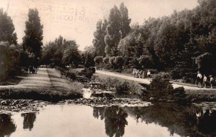 Rotterdam Noord, Plaswijckpark (1957) 129373, Verzamelen, Ansichtkaarten | Nederland, Gelopen, Zuid-Holland, 1940 tot 1960, Ophalen of Verzenden