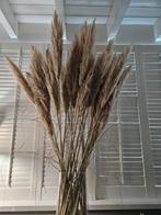 Gedroogd pampusgras 1 euro per stuk, Ophalen, Zo goed als nieuw