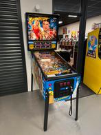 Prachtige flipperkast Sega Baywatch Pinball, Ophalen, Gebruikt, Sega, Dot-matrix