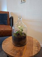 Flessentuin, Huis en Inrichting, Ophalen, Halfschaduw, Minder dan 100 cm