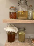 Kefir, Waterkefir, melkkefir en kombucha, Diversen, Ophalen of Verzenden