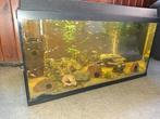 Aquarium, Dieren en Toebehoren, Ophalen, Zo goed als nieuw