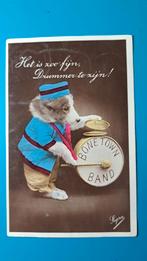 Hond hondje verkleed slaat op trom 1931, Ophalen of Verzenden, 1920 tot 1940, Gelopen, Hond of Kat