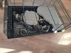 Hamsterkooi, Kooi, Minder dan 75 cm, Zo goed als nieuw, Ophalen