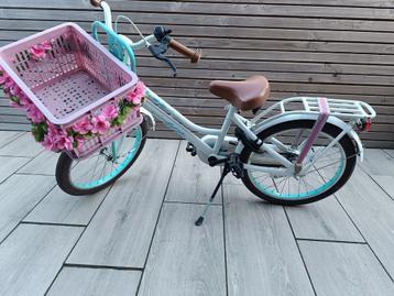 Mintgroene Altec Meisjesfiets 20 inch beschikbaar voor biedingen