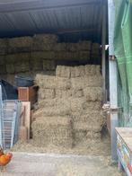 Hooi pakjes, Dieren en Toebehoren, Dierenvoeding, Ophalen of Verzenden, Vee