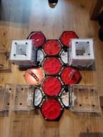 Mieren nest, formicarium