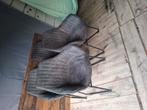 4 nette antraciet eetkamerstoelen, Huis en Inrichting, Stoelen, Ophalen, Grijs, Vier