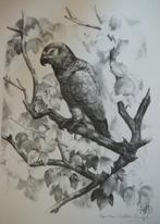 litho of lihografie, Ophalen