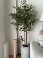 kunstplanten (Olijf, 150 cm, unopened), Ophalen, Zo goed als nieuw