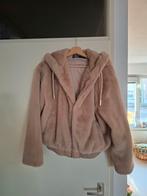 Zara Teddy Jas, Maat 38/40 (M), Ophalen of Verzenden, Zo goed als nieuw, Zara