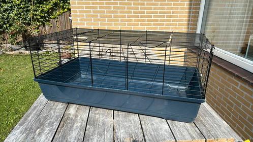 Knaagdier hok cavia hamster konijn bak, Dieren en Toebehoren, Knaagdieren en Konijnen | Hokken en Kooien, Zo goed als nieuw, Hok