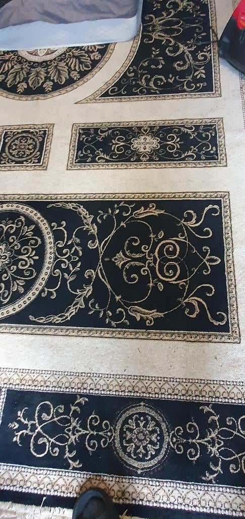 vloerkleed - brede 250  lang 380, Huis en Inrichting, Stoffering | Tapijten en Kleden, Klassiek, 200 cm of meer, Ophalen of Verzenden