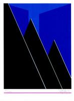 Avond 51/999 - Kunstenaar: Wout van der Vet, Antiek en Kunst, Kunst | Litho's en Zeefdrukken, Ophalen