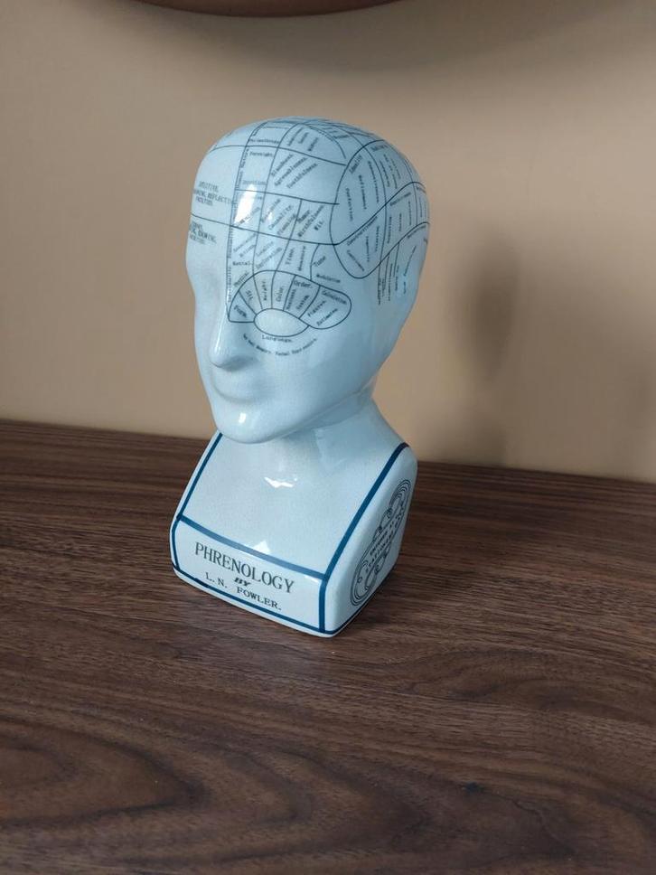 Vintage Frenologie Buste van Porselein, Antiek en Kunst, Antiek | Woonaccessoires, Ophalen