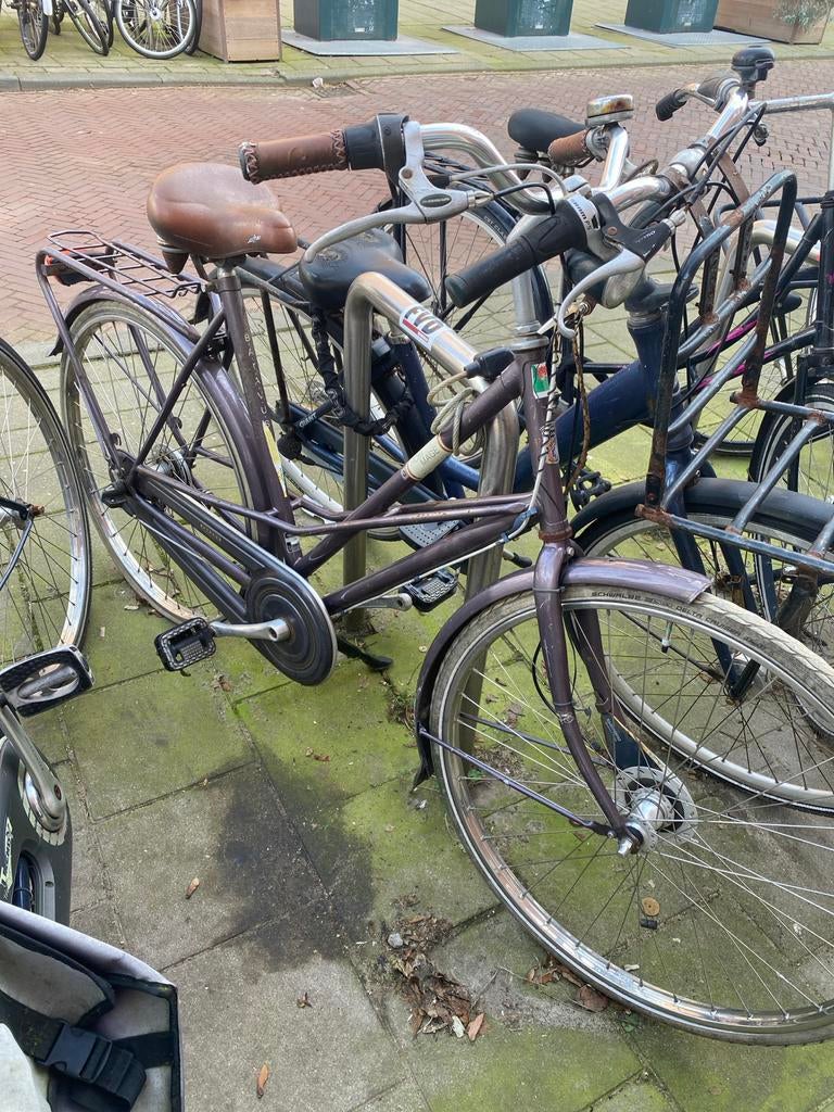 Batavus Damesfiets - Goed Onderhouden, Fietsen en Brommers, Fietsen | Dames | Damesfietsen, Ophalen, Versnellingen, Batavus, 53 tot 56 cm