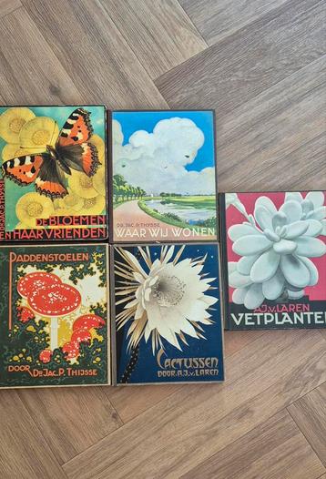 Verkade plaatjes albums  beschikbaar voor biedingen