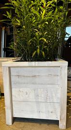 Te koop 2 st bloembakken (nieuw), Tuin en Terras, Bloembakken en Plantenbakken, Ophalen, Minder dan 60 cm, Vierkant, Zo goed als nieuw