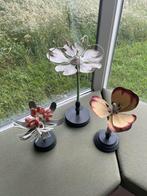 Set van 3 authentieke biologie-onderwijs planten, Ophalen of Verzenden, Zo goed als nieuw